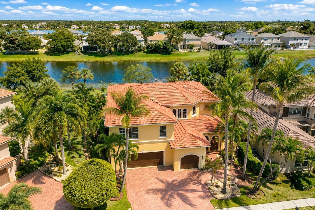 Tropical Landscaping