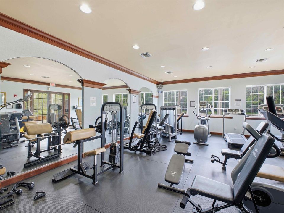 Gym Weights