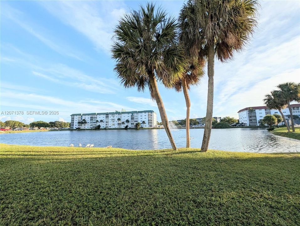 For Rent: $1,450 (1 beds, 1 baths, 928 Square Feet)