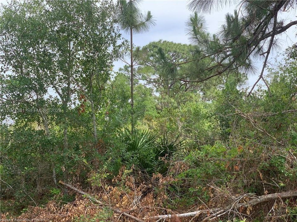 На продажу: $18,900 (0.23 acres)