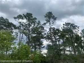 На продажу: $15,900 (0.23 acres)