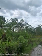 На продажу: $15,900 (0.23 acres)