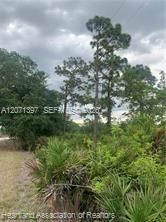 На продажу: $15,900 (0.23 acres)