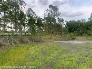 На продажу: $15,900 (0.23 acres)