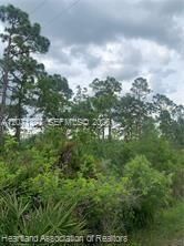 На продажу: $15,900 (0.23 acres)