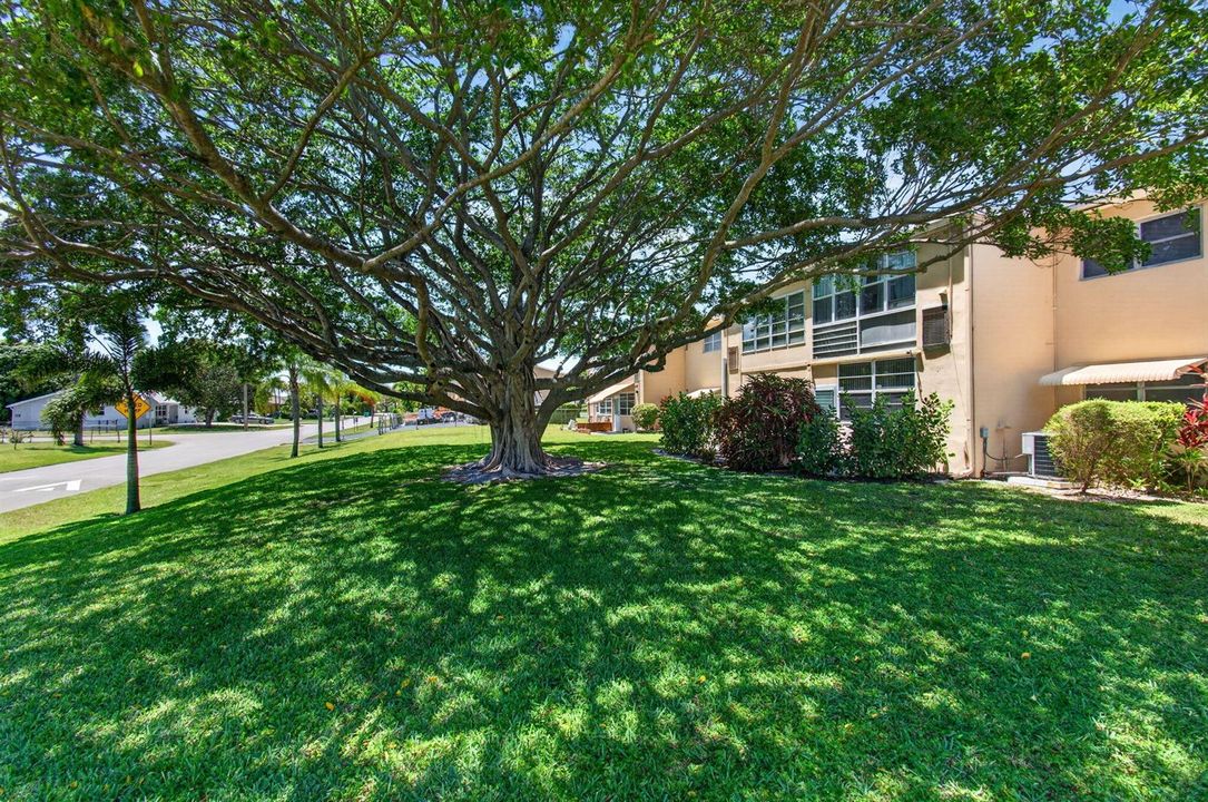 Back View of Garden 2nd Floor Unit