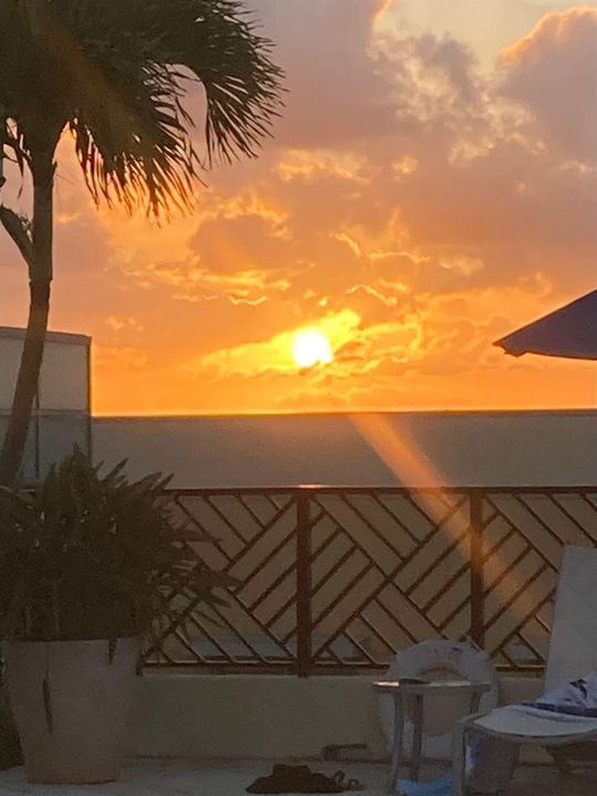 Astor Pool Sunset Rooftop