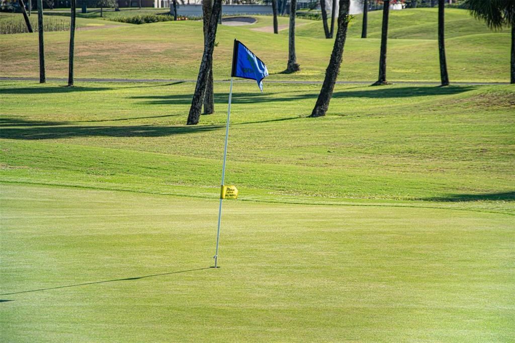 Golf Course