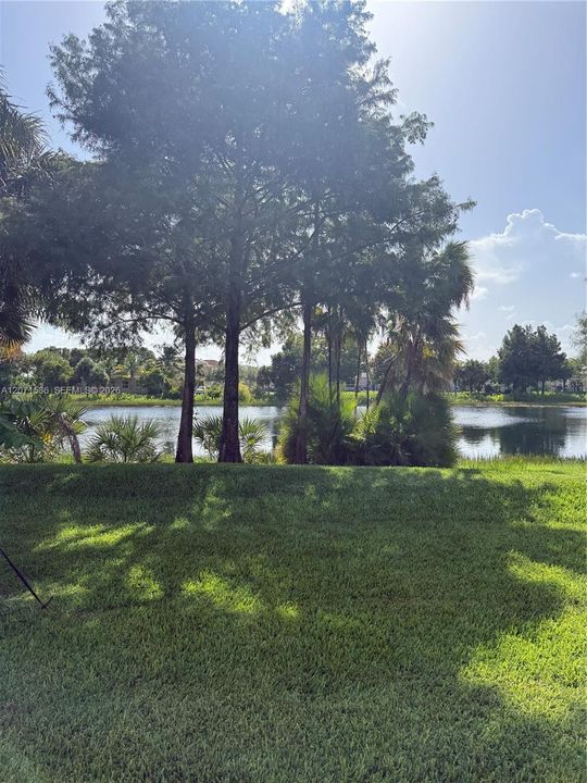 your back yard!