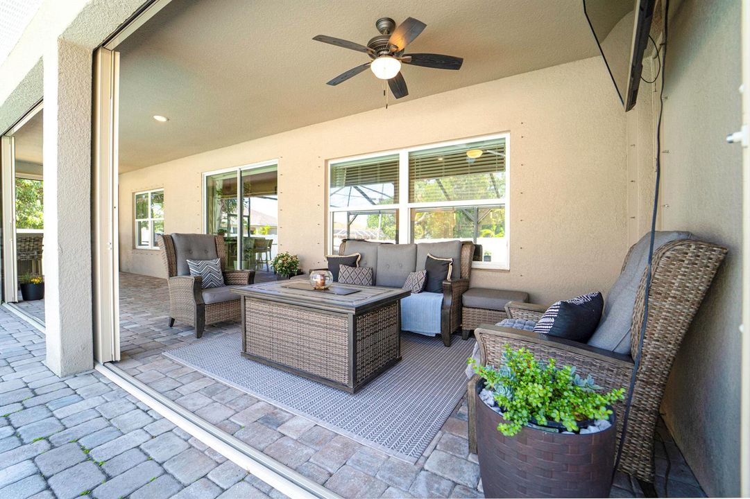 35_back yard