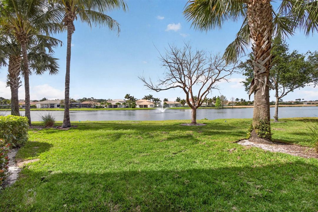 51-web-or-mls-5D1A3650