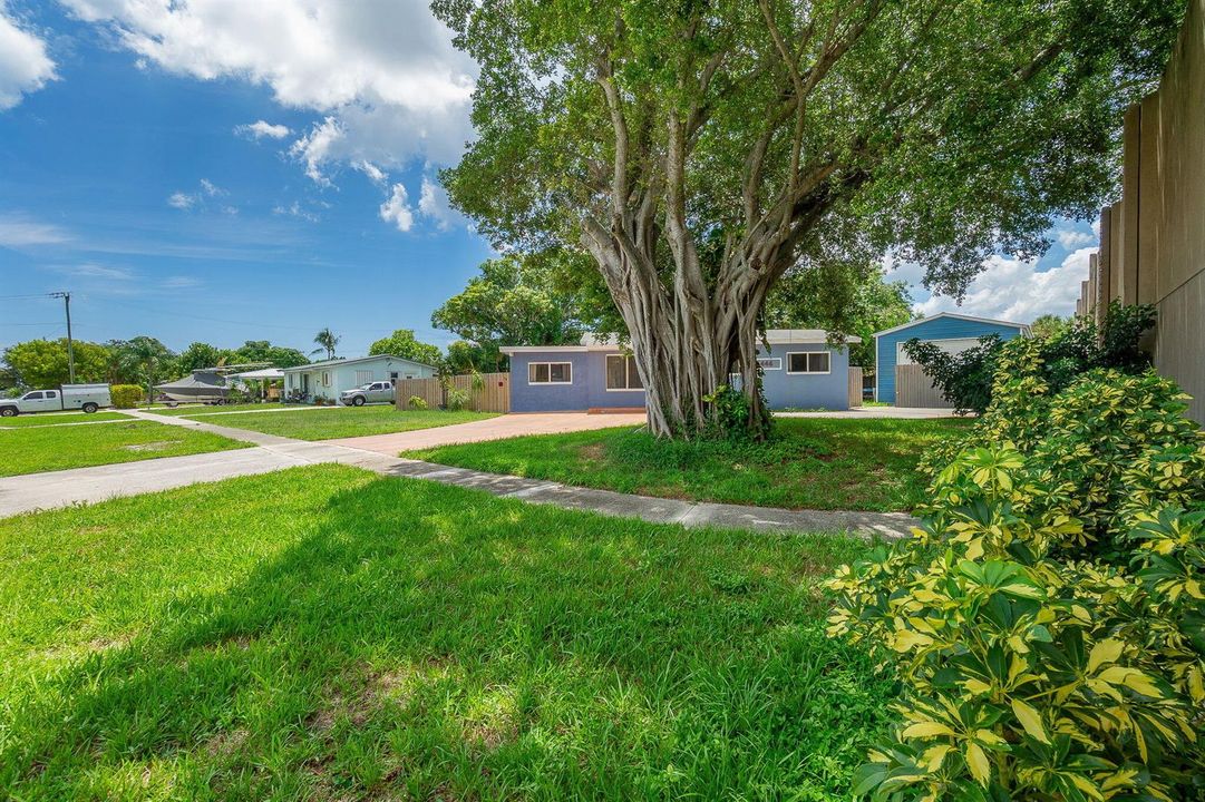 2-web-or-mls-DSC07939