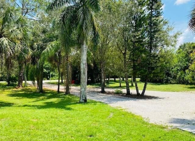 223081435_5