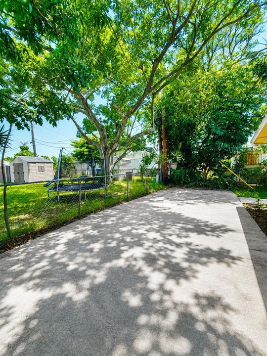 Backyard