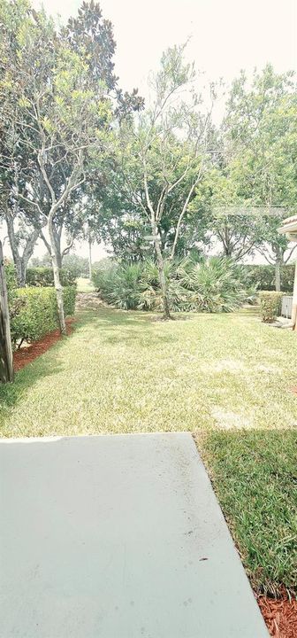patio view