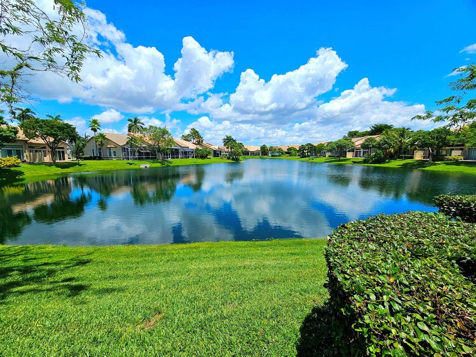Water View 1