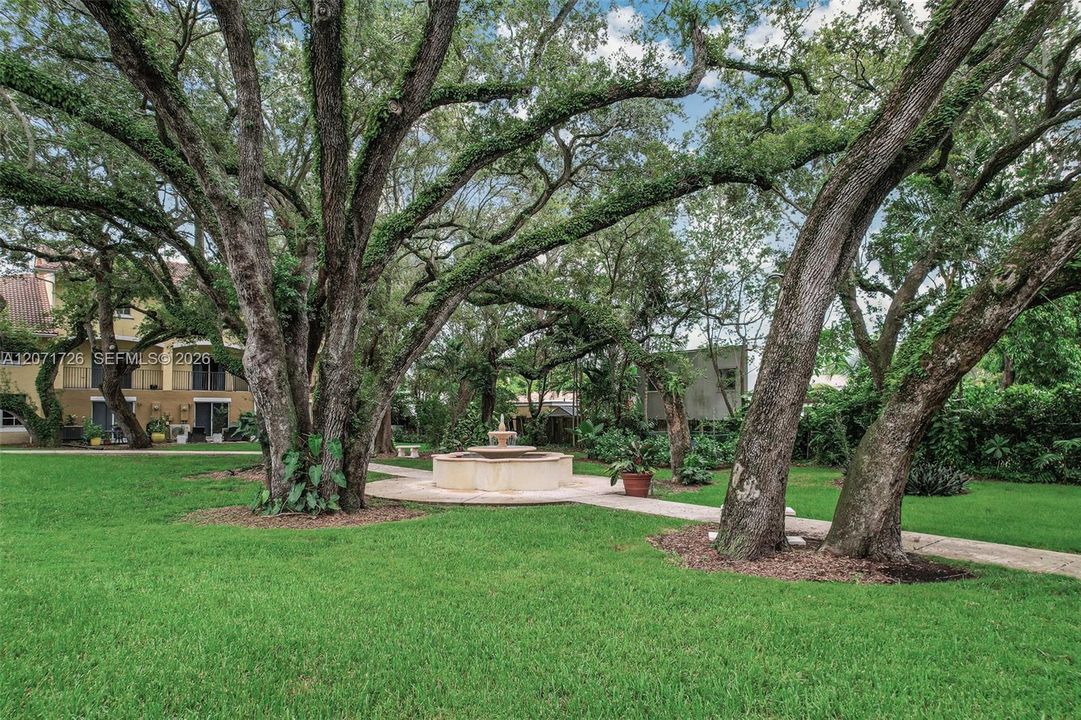 Park