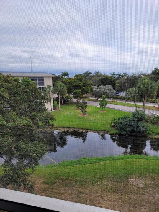 Patio View 2