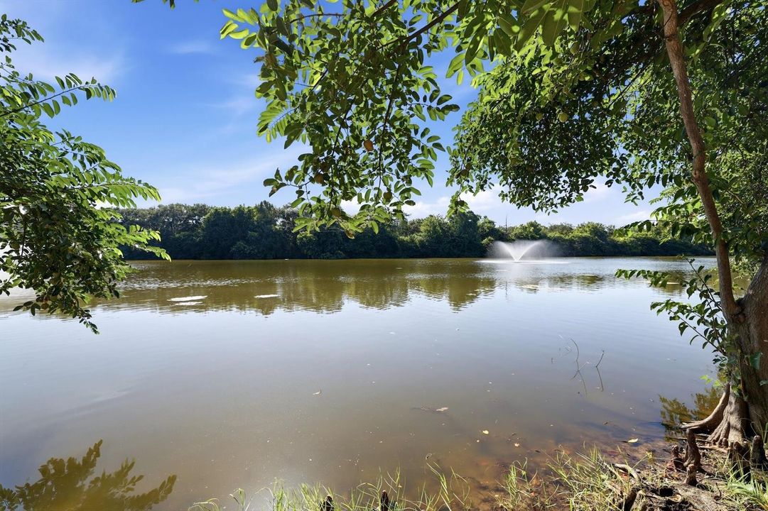 LAKE VIEW