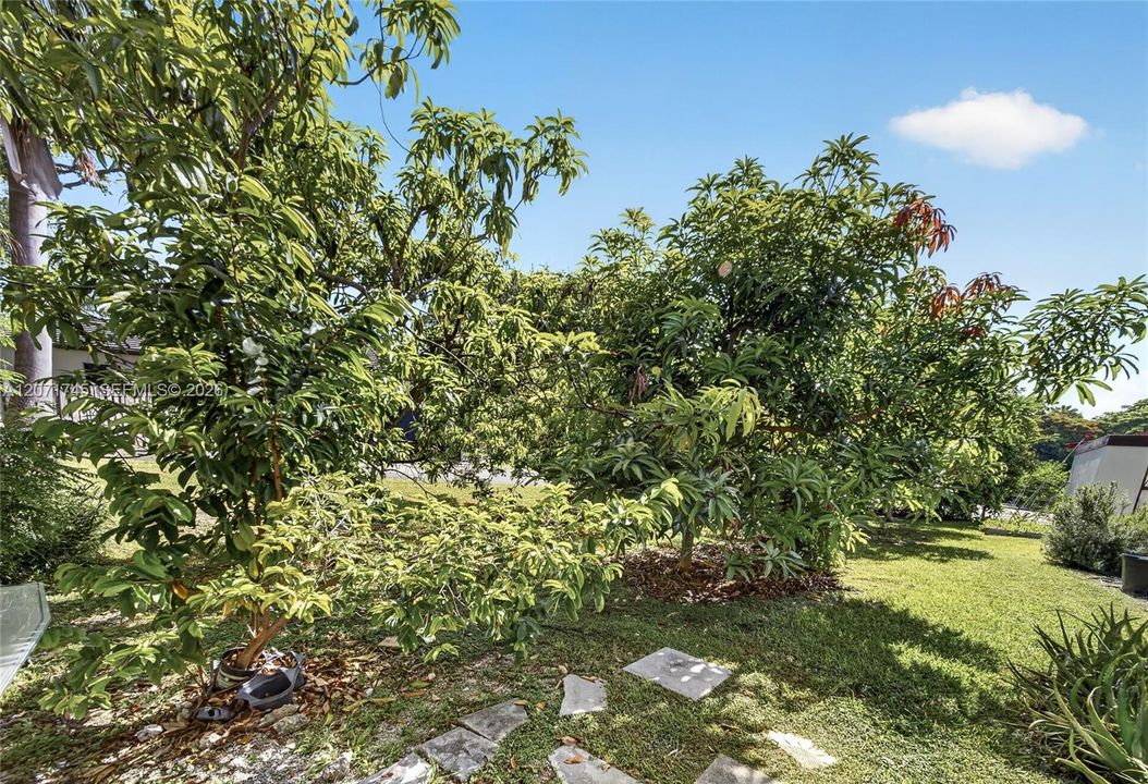 For Sale: $1,395,000 (4 beds, 4 baths, 3738 Square Feet)