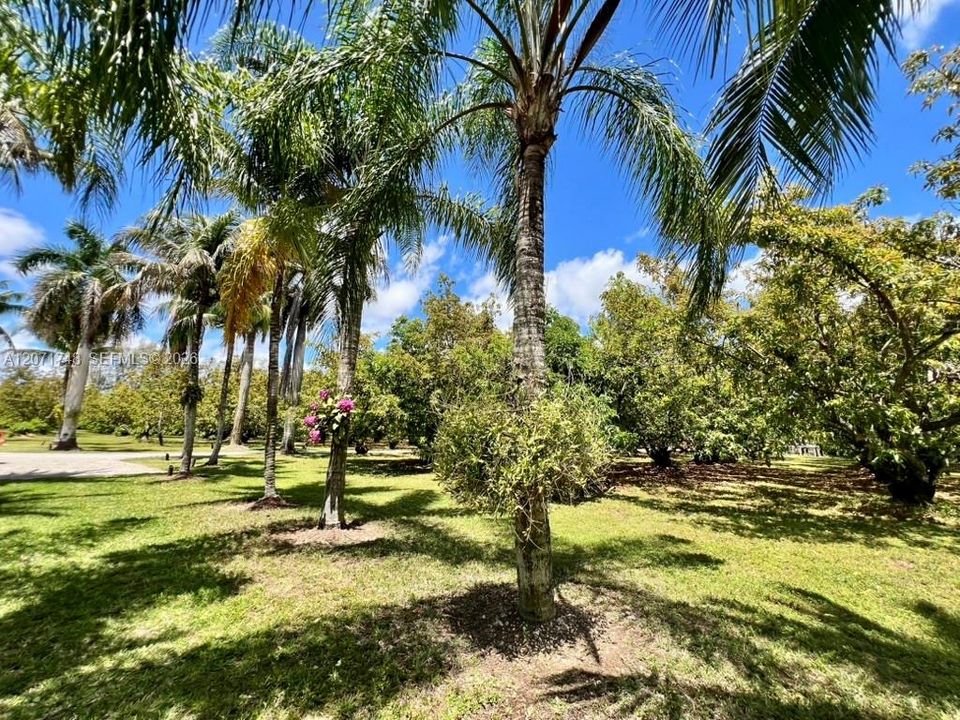 En Venta: $2,799,000 (4 camas, 5 baños, 2611 Pies cuadrados)