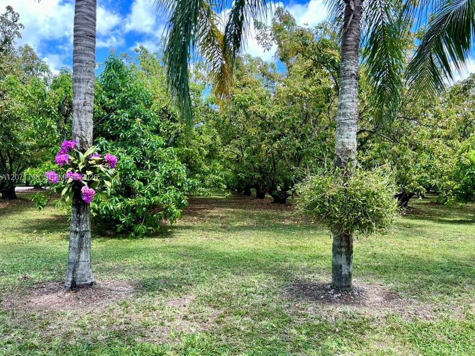 En Venta: $2,799,000 (4 camas, 5 baños, 2611 Pies cuadrados)
