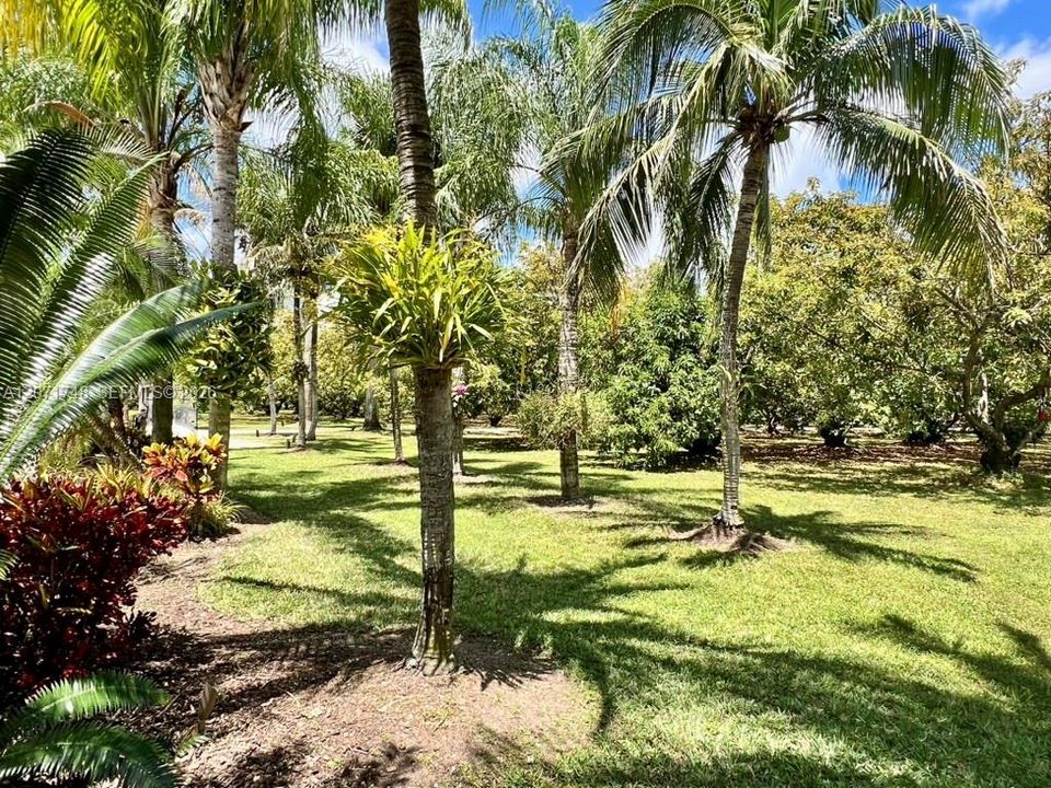 En Venta: $2,799,000 (4 camas, 5 baños, 2611 Pies cuadrados)