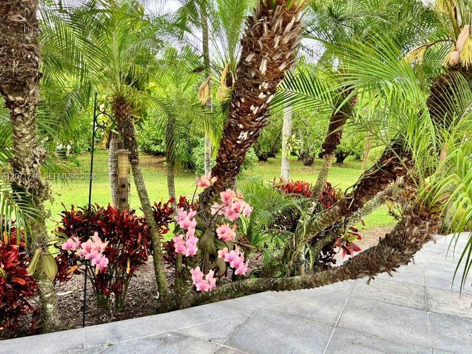 En Venta: $2,799,000 (4 camas, 5 baños, 2611 Pies cuadrados)