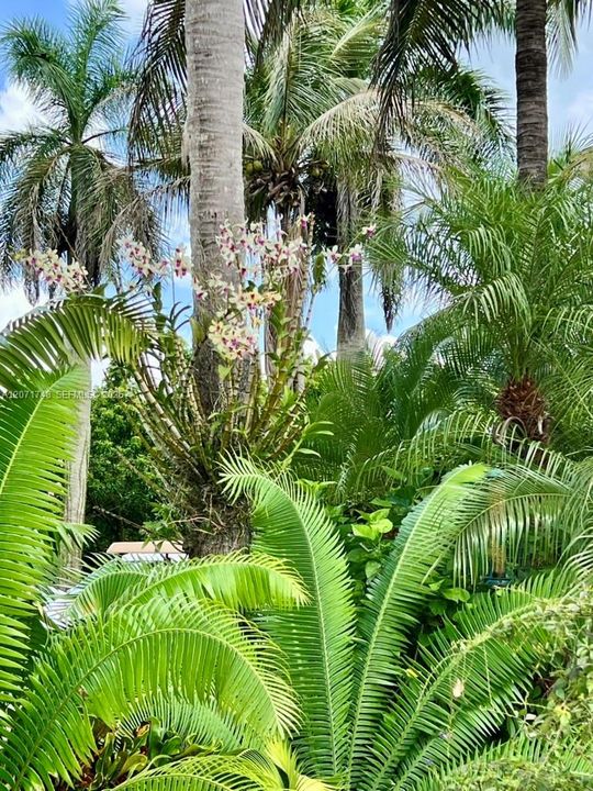 En Venta: $2,799,000 (4 camas, 5 baños, 2611 Pies cuadrados)
