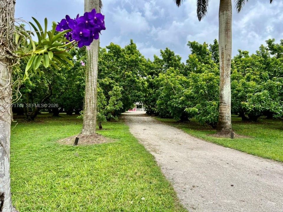 En Venta: $2,799,000 (4 camas, 5 baños, 2611 Pies cuadrados)
