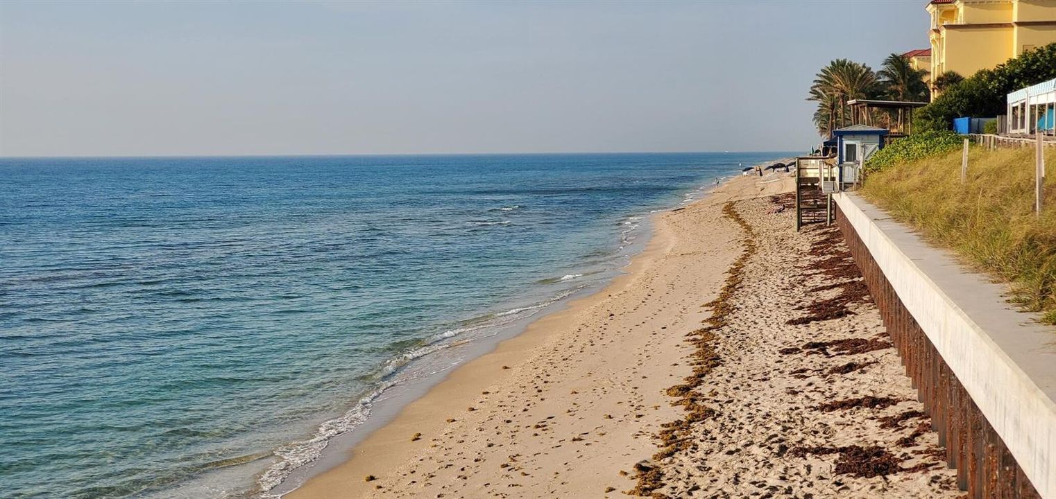 playa south view
