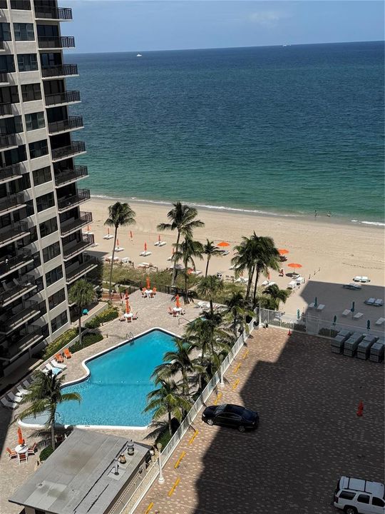 view