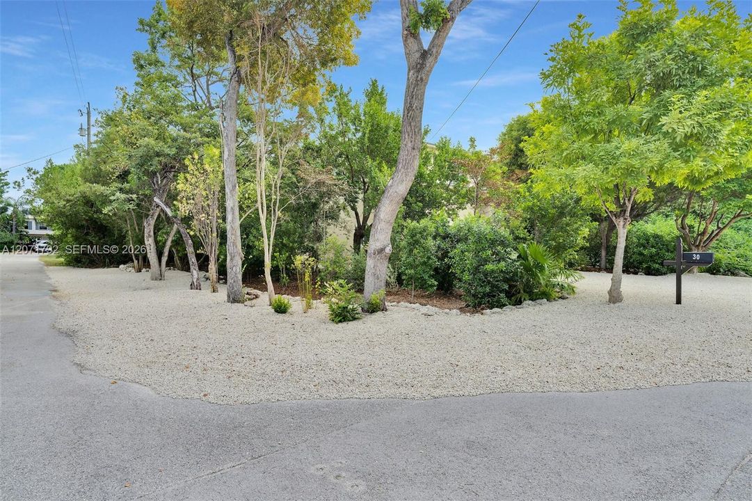 Corner Lot