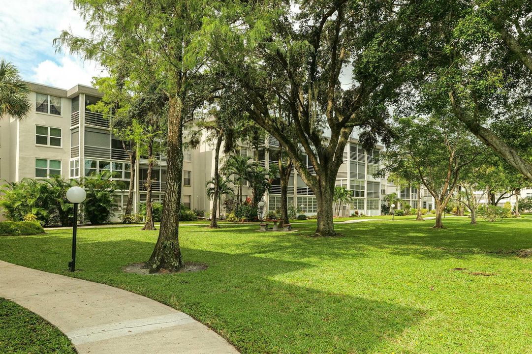 P1006618