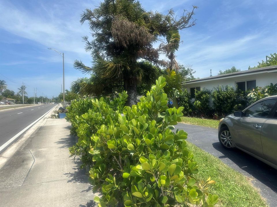 Driveway 1