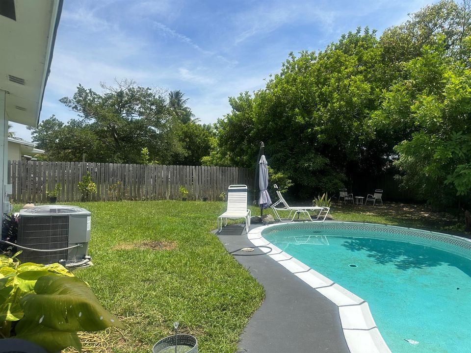 Backyard 3
