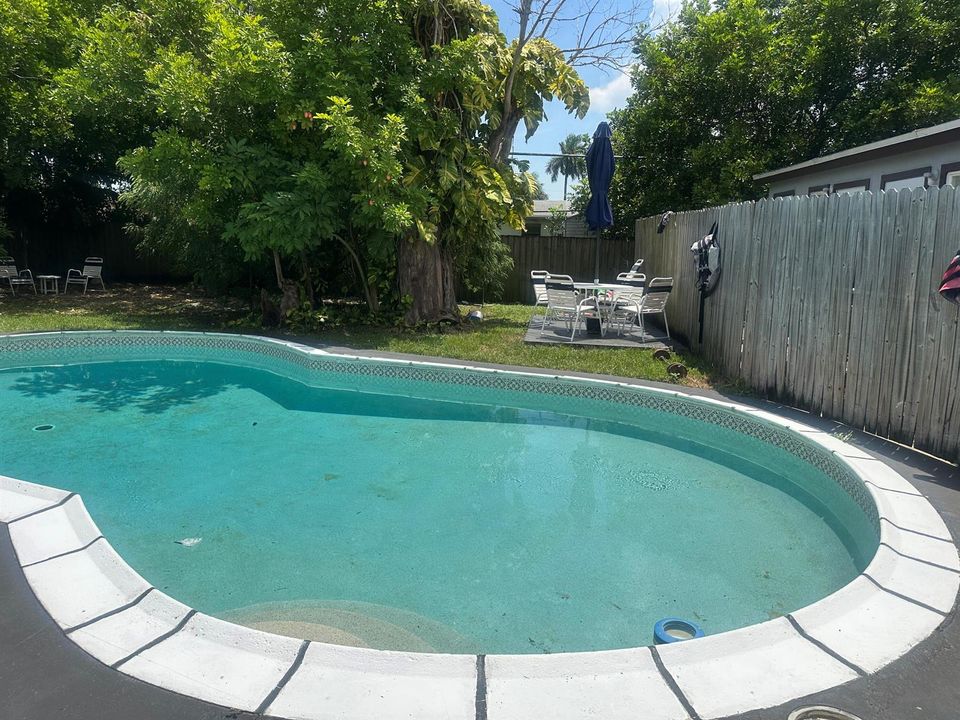 Backyard 1