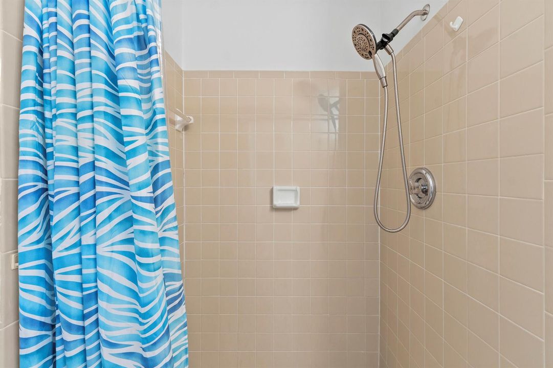 Primary bath shower
