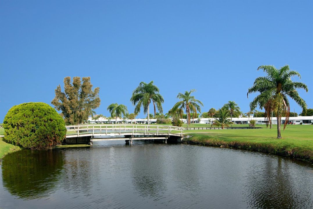 bridge view