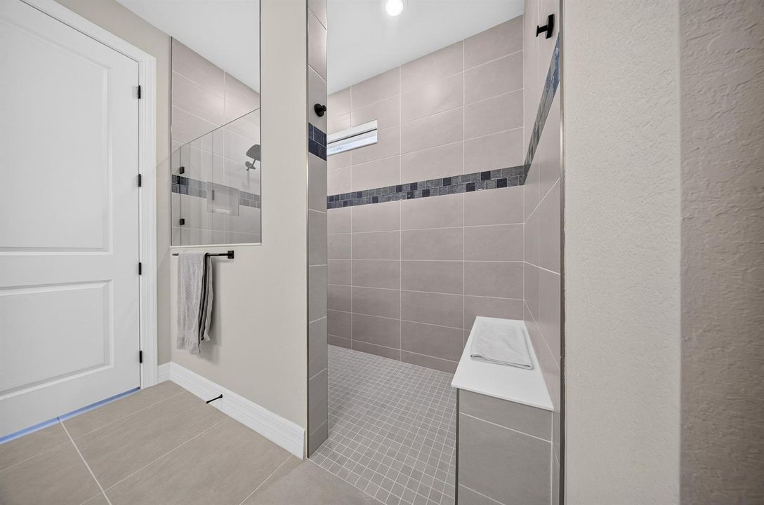 Primary Shower