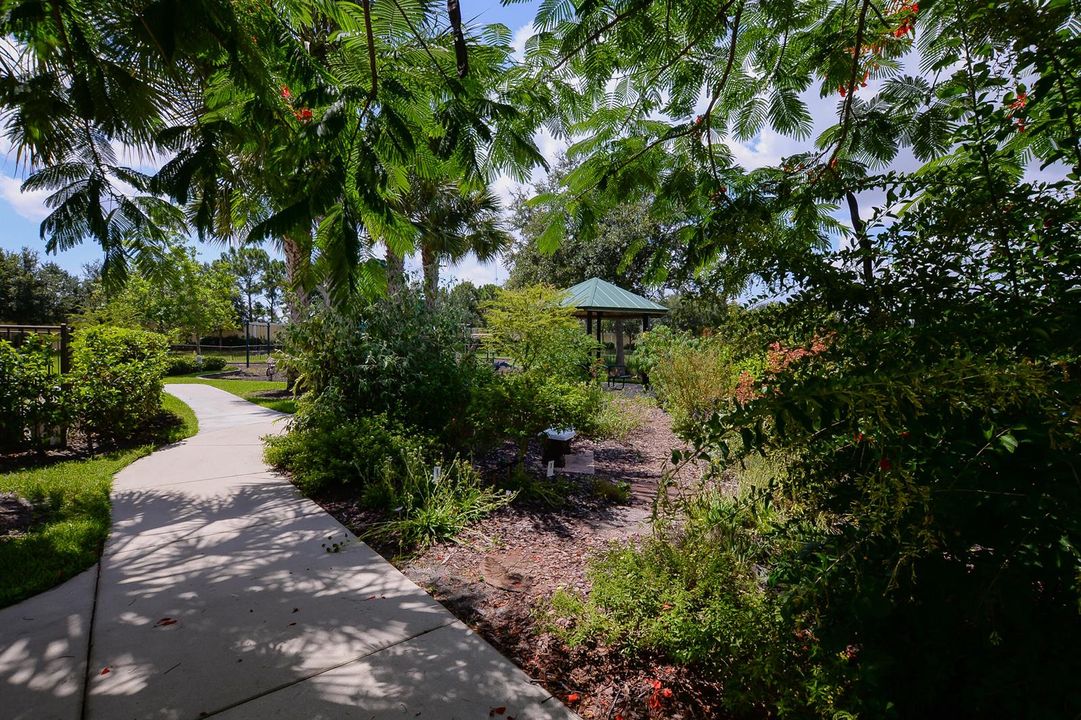 16 - Butterfly Garden