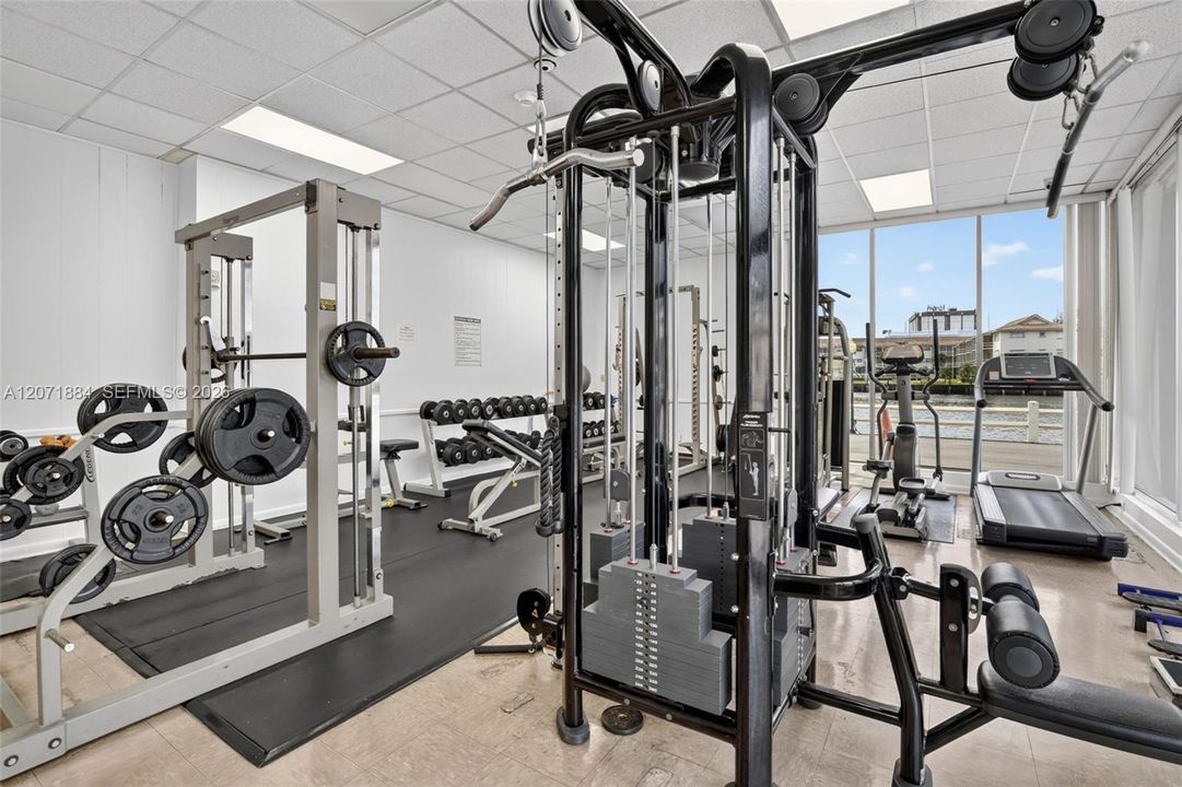 GYM