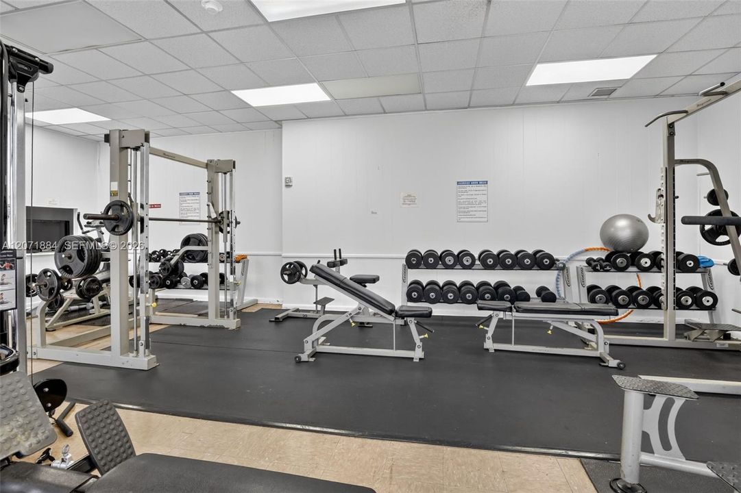 GYM