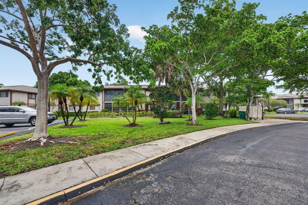 35-web-or-mls-DSC04008