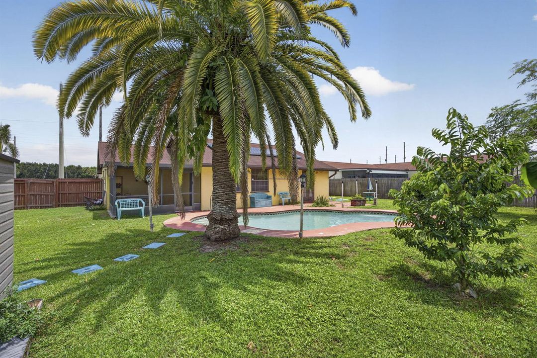 55-web-or-mls-BS1A2394