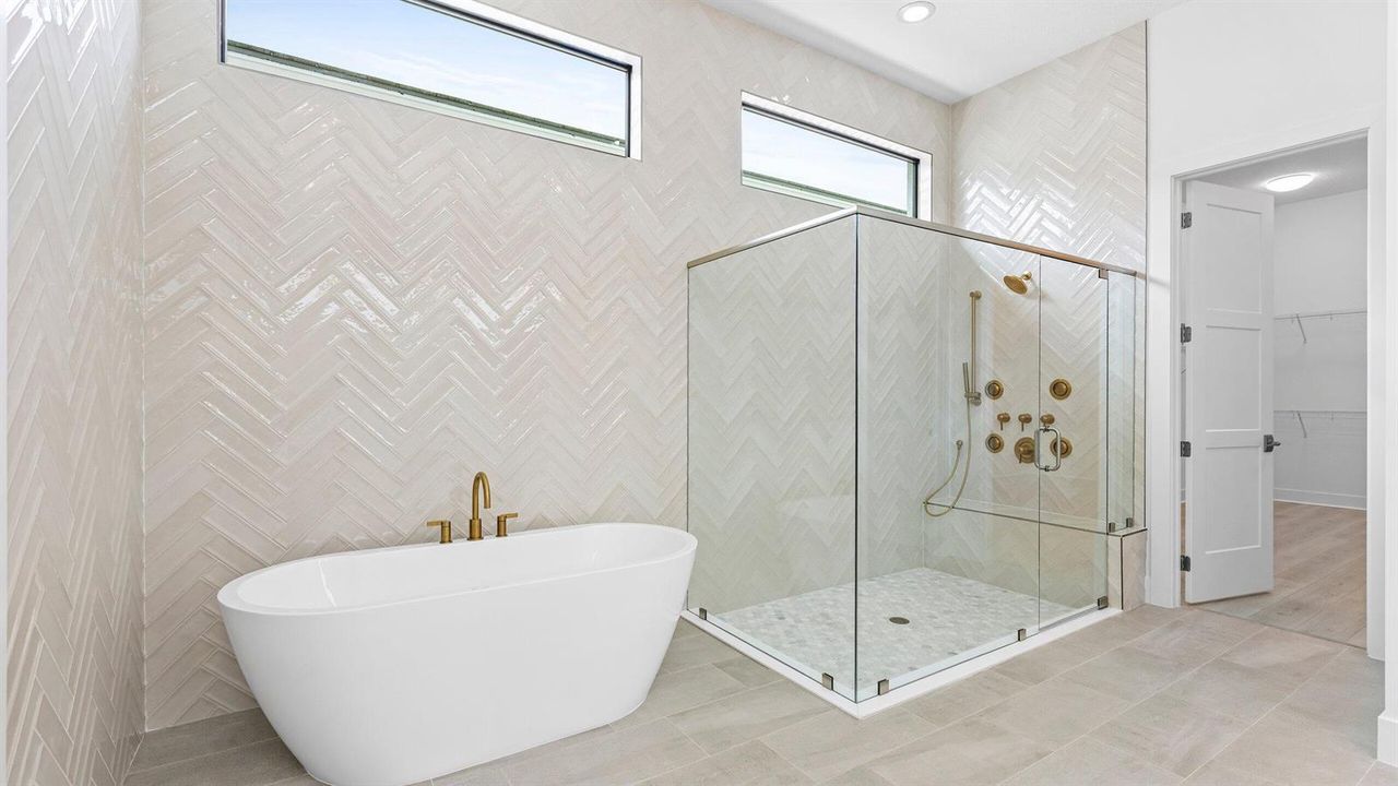 Owner's Bath
