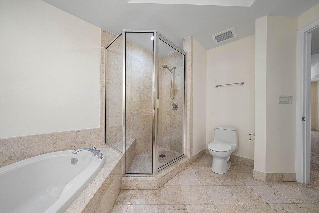 Shower with roman tub