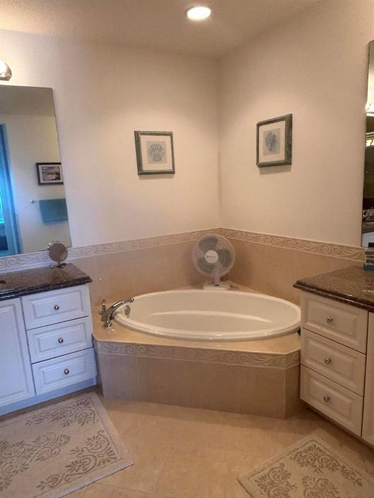 Master Tub