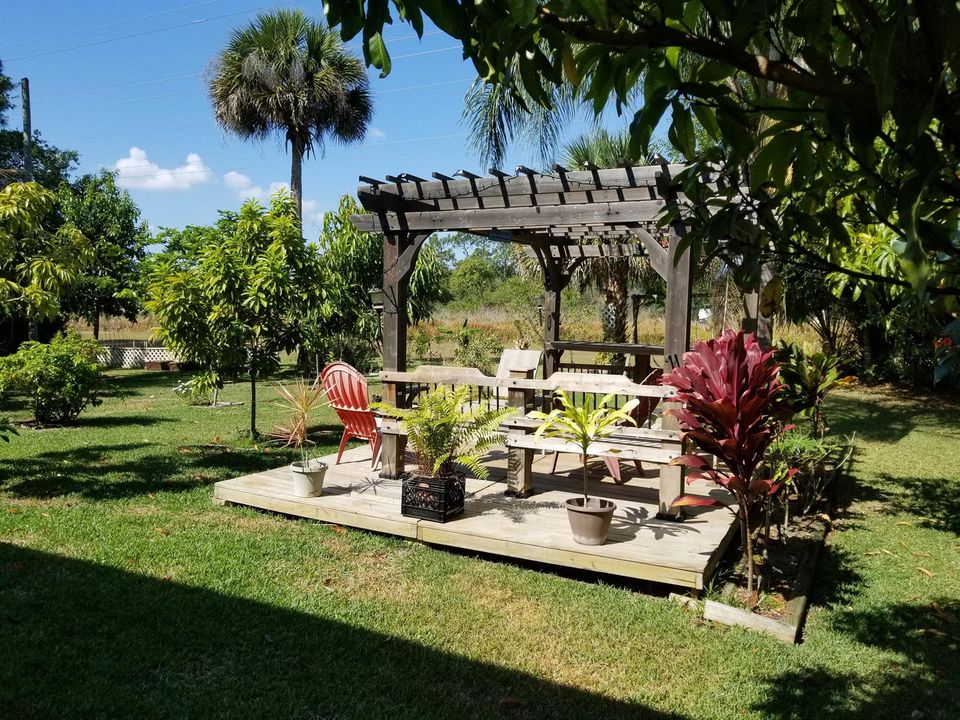 Backyard-1