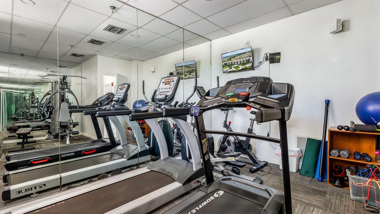 Gym